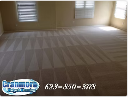 Cranmore Carpet Cleaning fresh carpet cleaning stripes in an empty bedroom