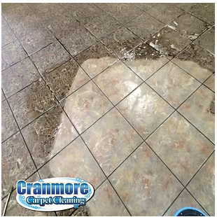 Cranmore Carpet Cleaning before-and-after tile cleaning result